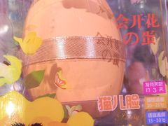 -KKV(东莞海德汇一城店)