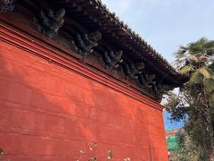 -洛阳白马寺