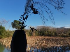 -木守西溪溪隐餐厅