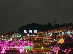 -枇杷园食为鲜火锅(南山店)