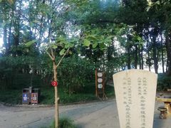 -汇龙潭