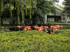 -石家庄市动物园