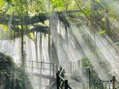 -青青世界