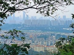 -火炉山森林公园