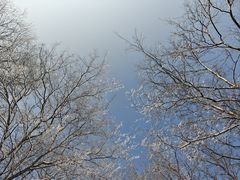 -秦岭终南山世界地质公园翠华山景区