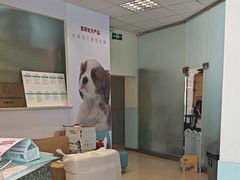 -瑞派申生动物医院·24H夜诊·国际动物医疗中心·骨外科(吴中路店)