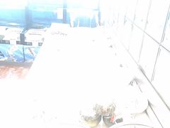 -添福来墨鱼饺子 · 海鲜东北菜(泡崖店)
