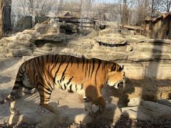 -北京野生动物园