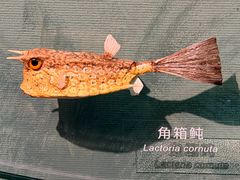 -中国湿地博物馆