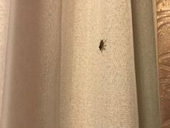 -金石唐风国际温泉会馆