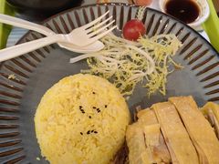 -上海野生动物园老虎餐厅