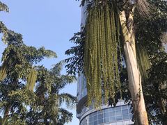 -百林公园-两江幸福广场