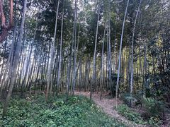 -苏州河梦清园环保主题公园