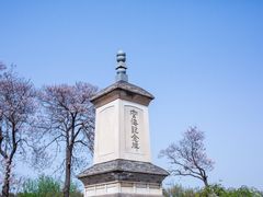 -西安青龙寺遗址景区