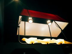 -大鸽饭(岗顶店)