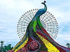 -七彩云南欢乐世界