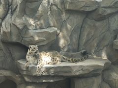-青藏高原野生动物园