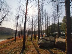 -仙山湖景区