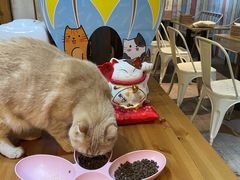-小时光咖啡馆(开森度假森林店)