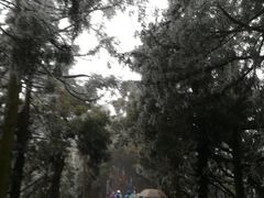 -南岳衡山风景名胜区