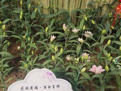 -满记甜品(北京东坝万达店)