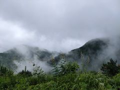 -东白山
