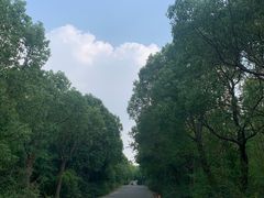 -上海海湾国家森林公园