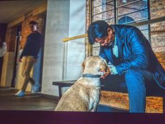 -天幕新彩云国际影城(激光巨幕店)