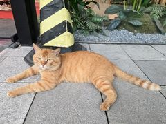 -一起装修网(集团店)