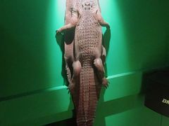 -旅马餐厅(茅家埠店)