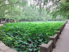 -四川大学(华西校区)