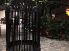 -泉城欧乐堡戏水湾艺术养生温泉