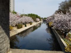 -海棠花溪(元大都城垣遗址公园)