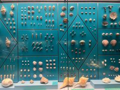 -天津自然博物馆