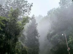 -綦江古剑山