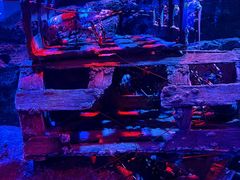 -暹罗海洋世界