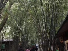-英西峰林·洞天仙境