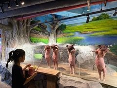 -正佳雨林生态植物园
