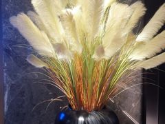 -大鹏佳兆业广场