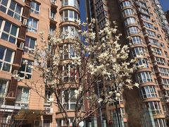-Deer Park鹿园西餐(仁恒置地广场店)
