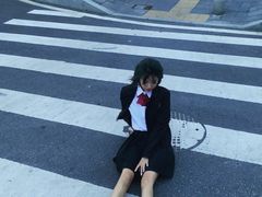 -海堤纪念公园