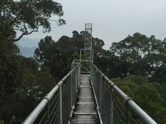-乌鲁淡布隆国家公园