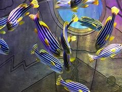 -亚龙湾海底世界