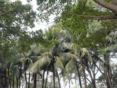 -深圳湾公园(南山区)
