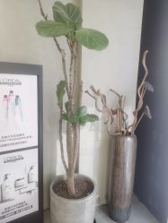 -变画·发型STUDIO