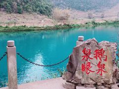 -靖西鹅泉风景区