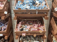 实物图-BASEMENT FG (成都太古里店)