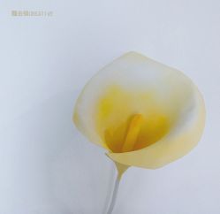 -金禧婚礼定制