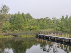 -昆山城市生态森林公园