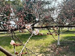 -玄武湖景区-情侣园游乐场